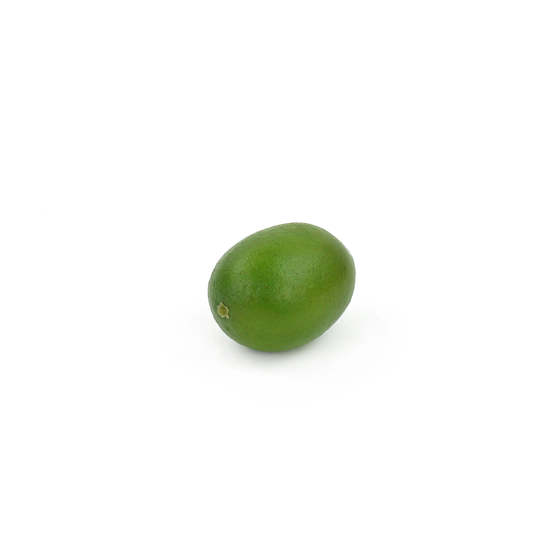 Artificial Fruit - Lime
