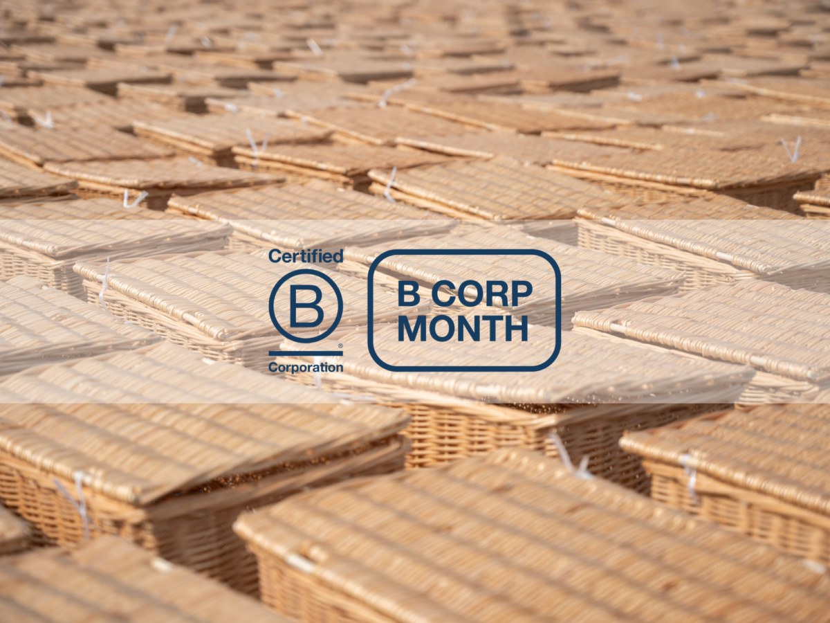 B Corp Month 2025