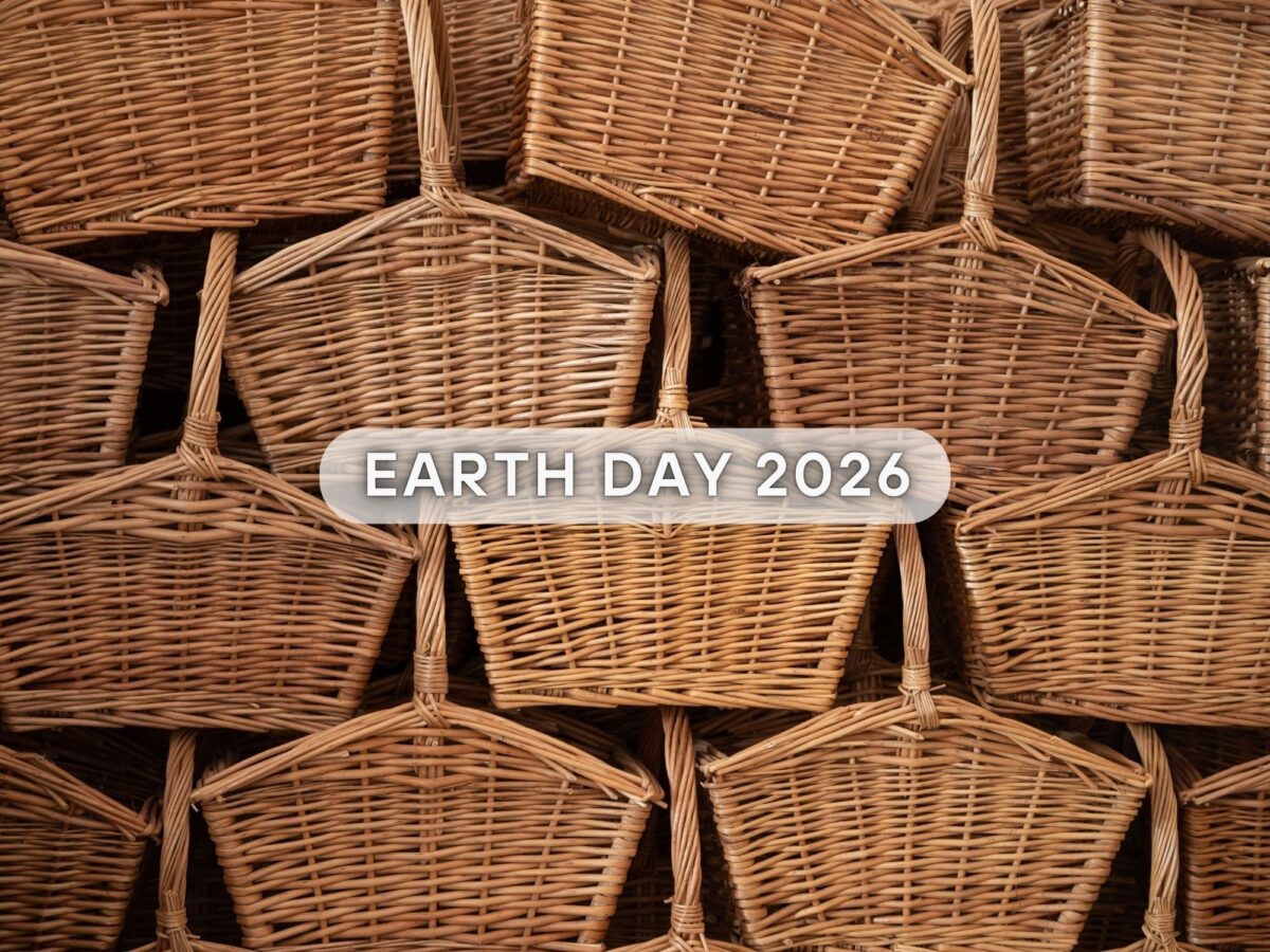 Celebrating two years B Corp certified and Earth Day 2026