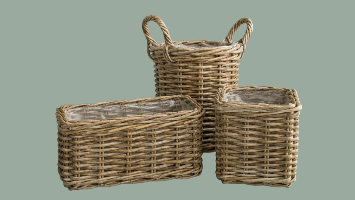 New kubu planters 2