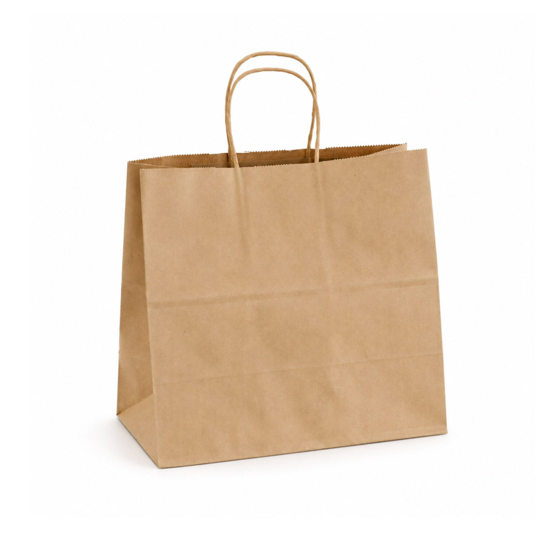 Large Kraft Paper Bag (100pcs)