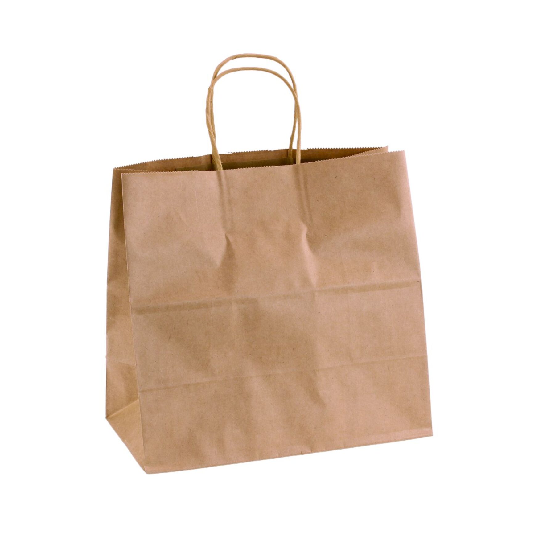 Large Kraft Paper Bag (100pcs)