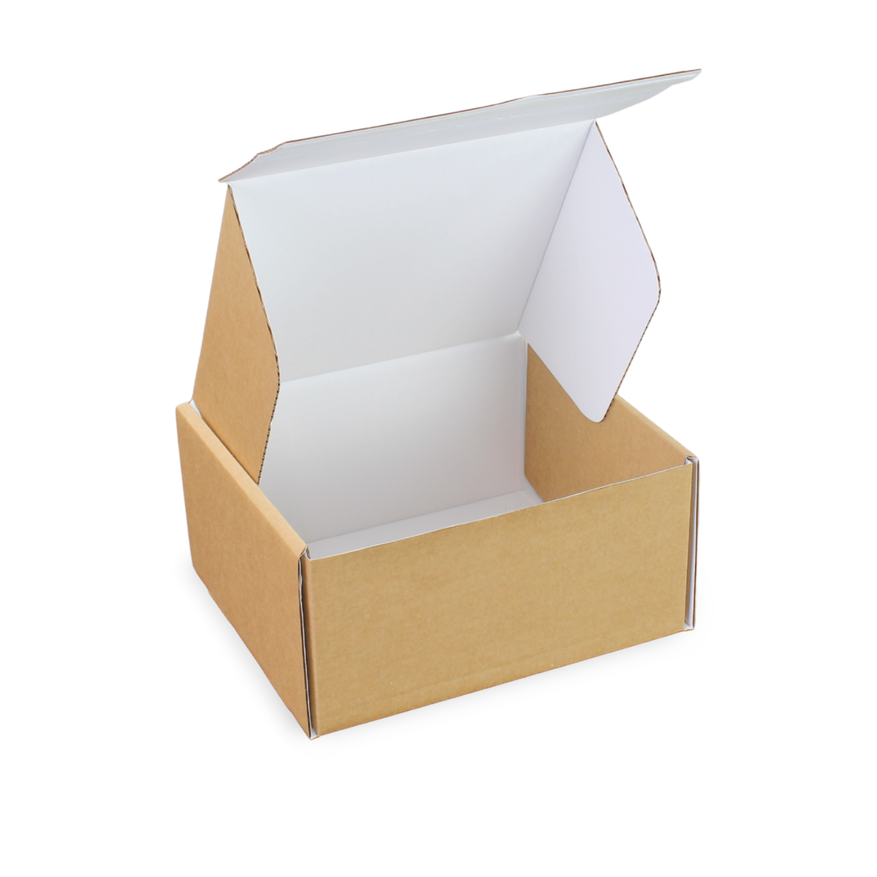 10 Inch Self Seal Ecommerce Box (20pcs)